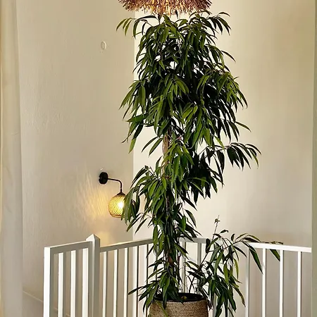 Villa Korifi By Halu!, With Sea View Skiathos by